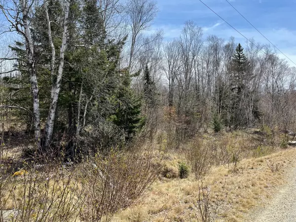 Addison, ME 04606,0 Reef Point RD