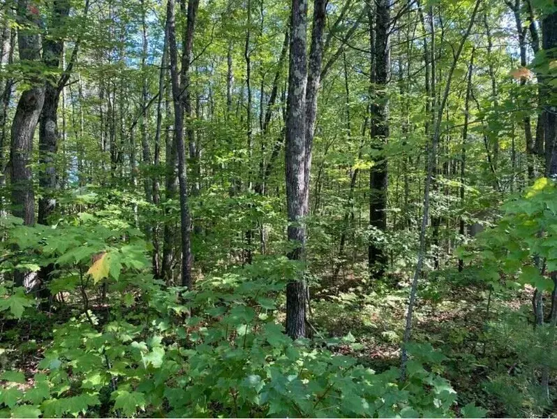 0 W Shore RD, Sebago, ME 04029