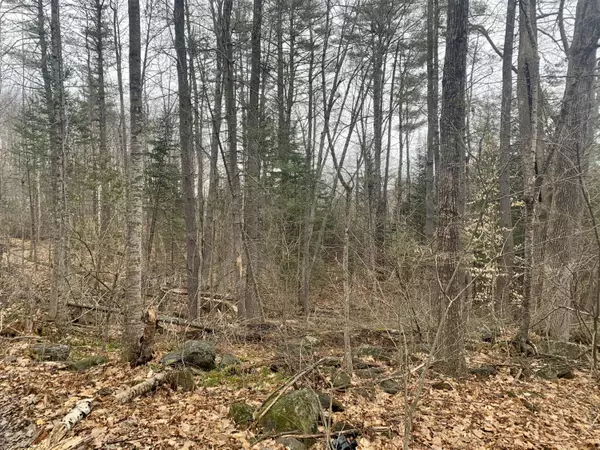 Lot 8-25 Old Turkey LN, Winthrop, ME 04364