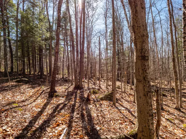 Newry, ME 04261,Lot 78 Vail DR