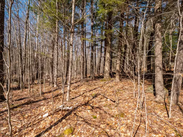 Newry, ME 04261,Lot 78 Vail DR