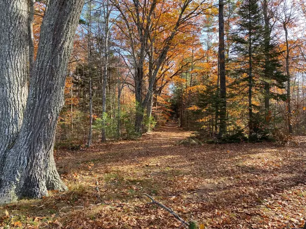 Buxton, ME 04093,Lot #19 Green Acres DR