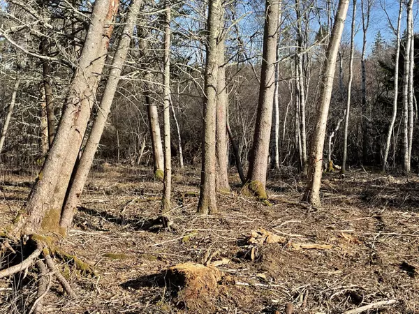 0000 North Shore RD, North Haven, ME 04853