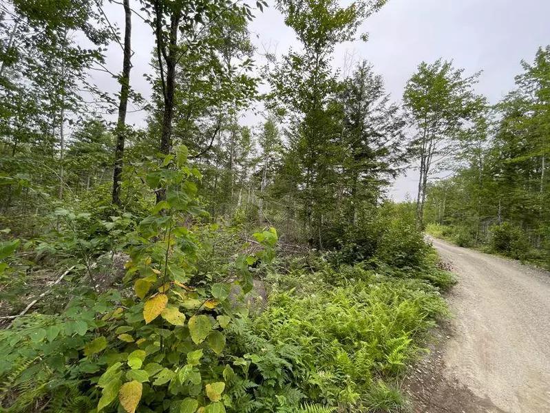 M07 L19 West Madagascal RD, Burlington, ME 04417