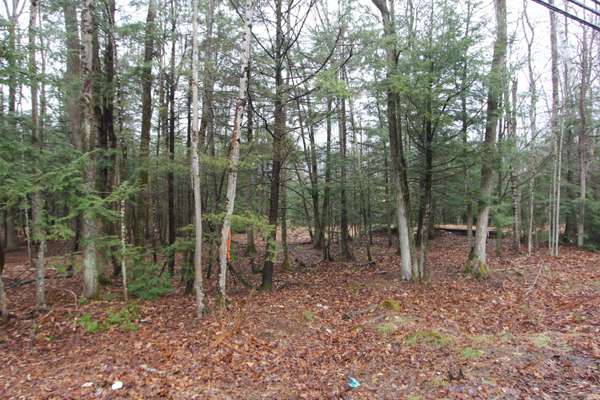 Greene, ME 04236,Lot 11 Meadow Hill RD