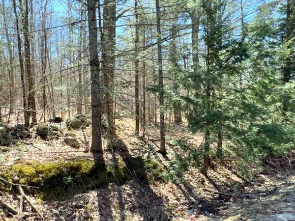 Sweden, ME 04040,Lot 15A Lovell RD