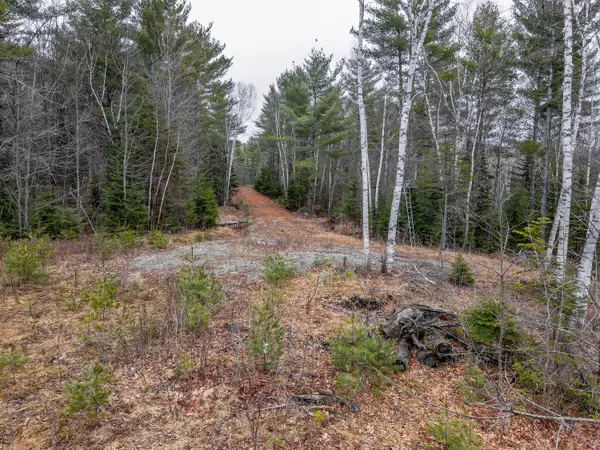 Caratunk, ME 04925,Lot 1 Cates Hill RD