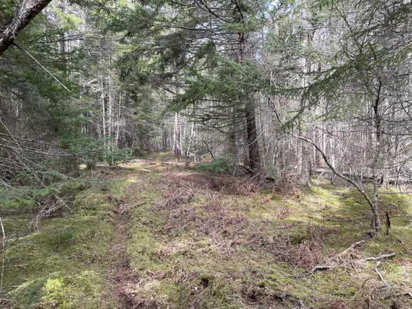 Milbridge, ME 04658,Lot 214A Off of Kelley Road