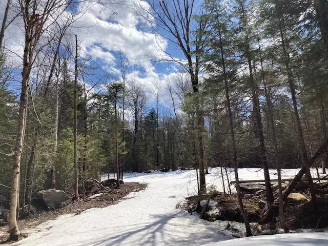 Sandy River Plt, ME 04970,1319 Main ST