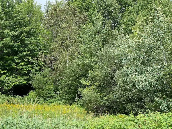 Newport, ME 04953,63 Grandview DR