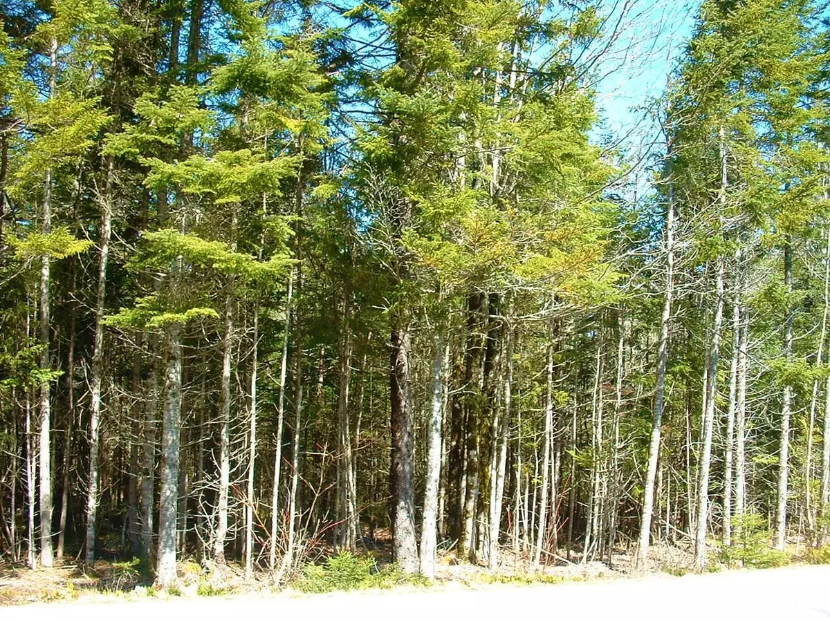 Machiasport, ME 04655,Lot 93 Yoho Head RD