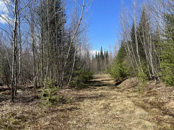 Parsonsfield, ME 04047,0 Collins RD