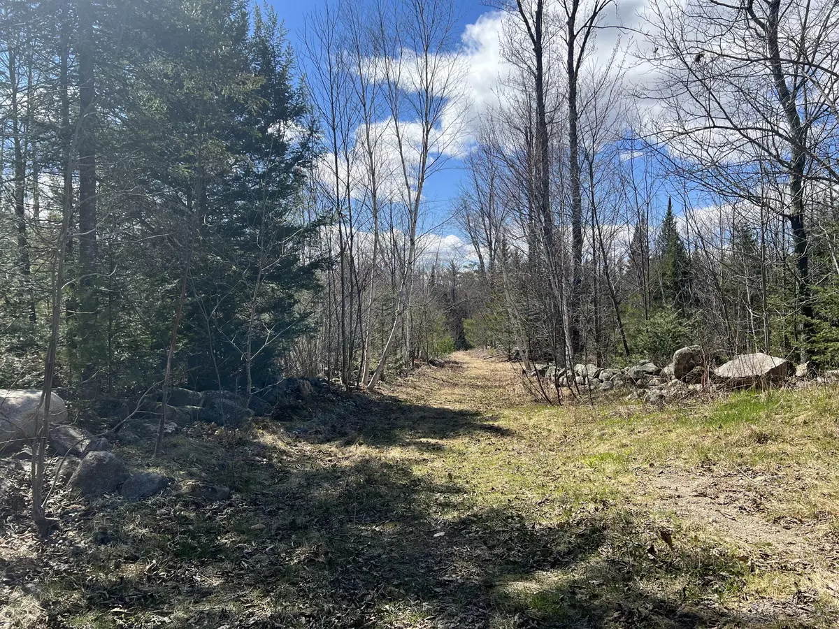 Parsonsfield, ME 04047,0 Collins RD