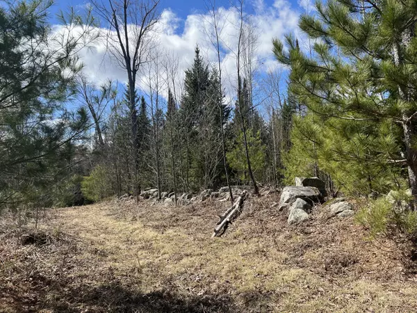 Parsonsfield, ME 04047,0 Collins RD