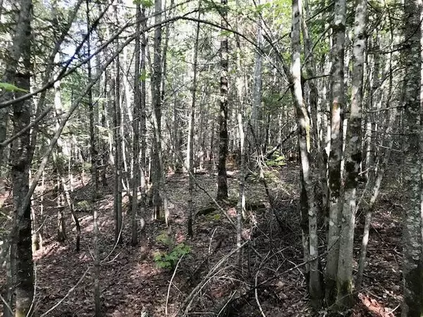 Greenville, ME 04441,5 Wilson View DR