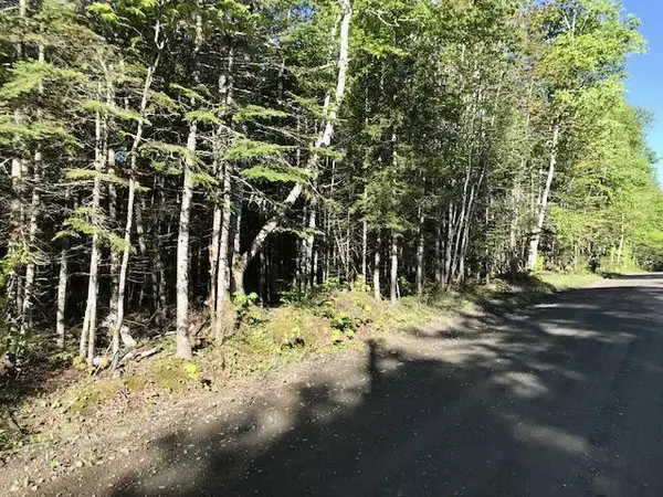 Greenville, ME 04441,5 Wilson View DR