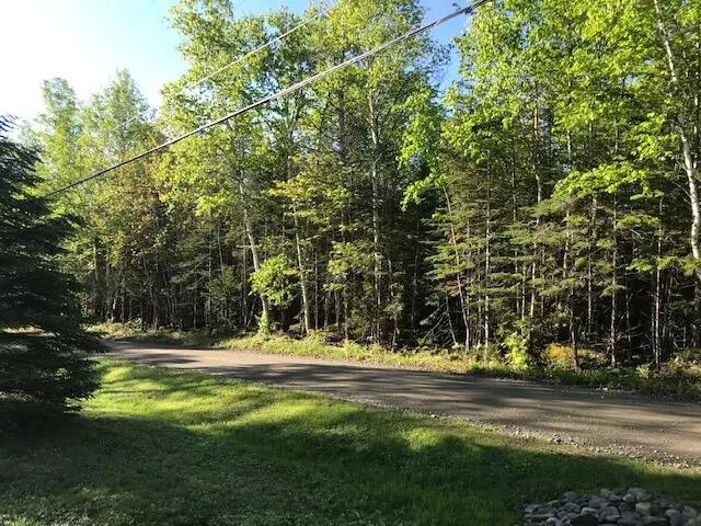 Greenville, ME 04441,5 Wilson View DR