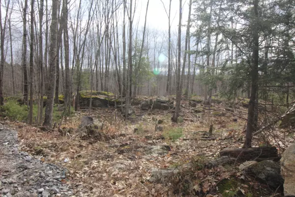 Lot 32 B Grange AVE, Minot, ME 04258