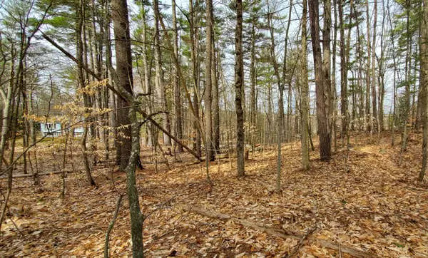 Naples, ME 04055,Lot 071 Gore RD