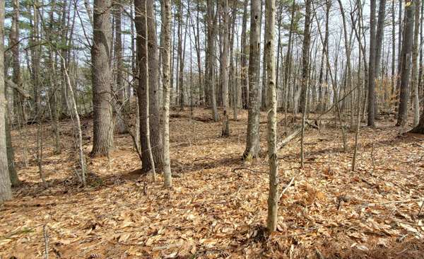 Naples, ME 04055,Lot 071 Gore RD