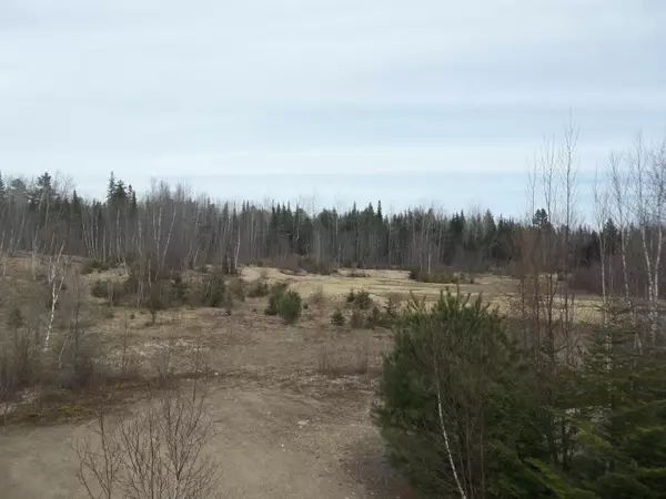 M8 L21 Off Ridge RD, Robbinston, ME 04671