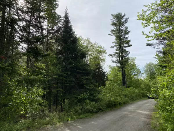 Stockton Springs, ME 04981,Lot 3 Norumbega DR