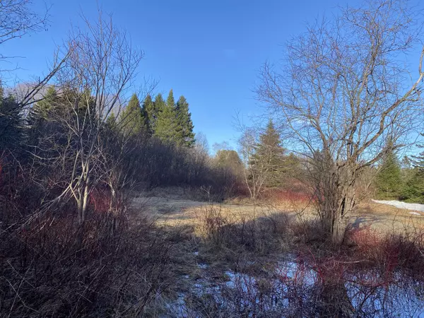 Woodland, ME 04736,78 Colby Siding RD