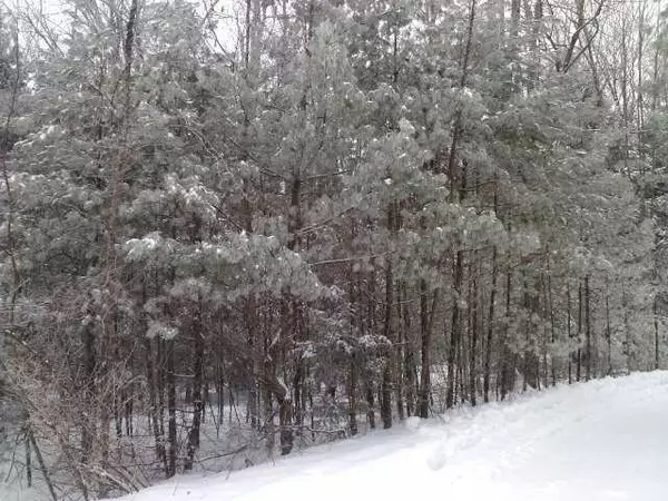 Winthrop, ME 04364,0 Tamarack LN