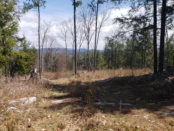 Waterford, ME 04088,Lot 2 Golden Guernsey DR