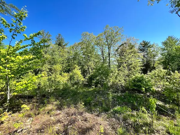 Waterford, ME 04088,Lot 3 Deer Hill RD