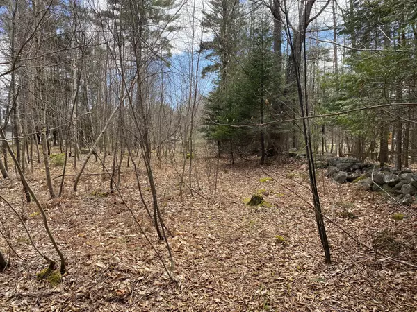 Verona Island, ME 04416,0 Park RD