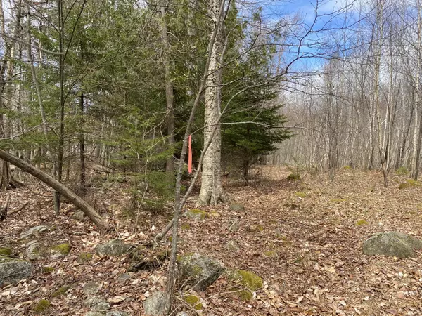 0 Park RD, Verona Island, ME 04416