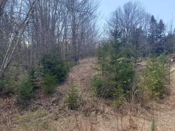 Trenton, ME 04605,53 Woodland DR