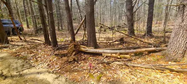 Lincolnville, ME 04849,00 Narrows RD