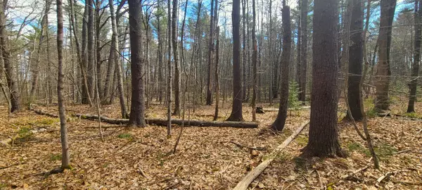 Lincolnville, ME 04849,00 Narrows RD