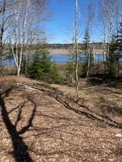 120 Wescogus Road, Addison, ME 04606