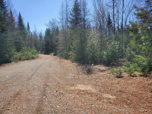 Cary Plt, ME 04471,L4-50 Off Gravel RD
