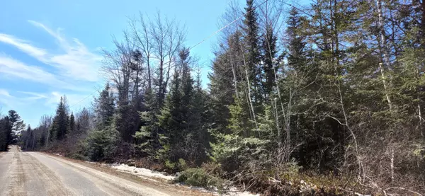 Harrington, ME 04643,0 Route 1 Rt 1