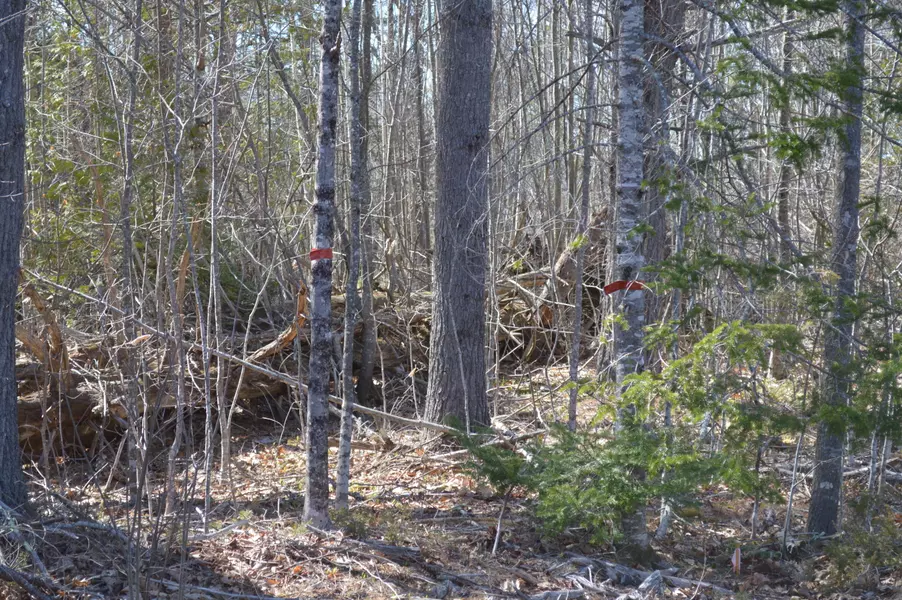 00 Calls Hill RD, Dresden, ME 04342