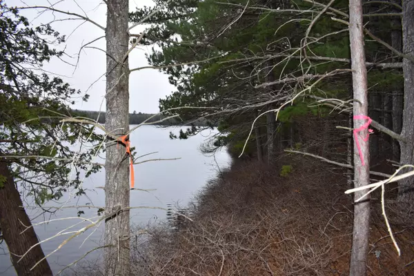 Wesley, ME 04686,Lot 3 Off Loon LN