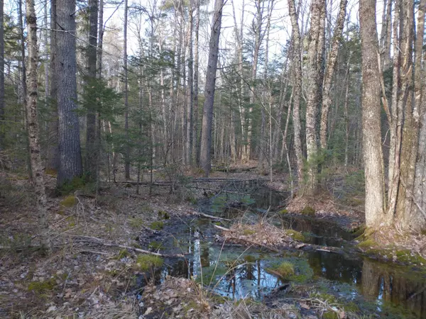 Rockport, ME 04856,0 Brandy Brook CIR