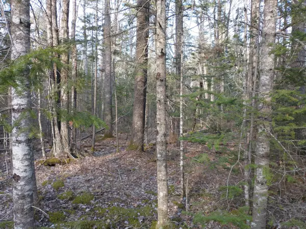 Rockport, ME 04856,0 Brandy Brook CIR