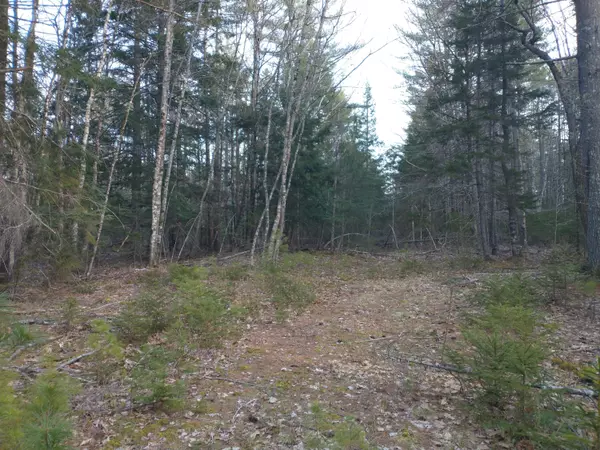 Rockport, ME 04856,0 Brandy Brook CIR