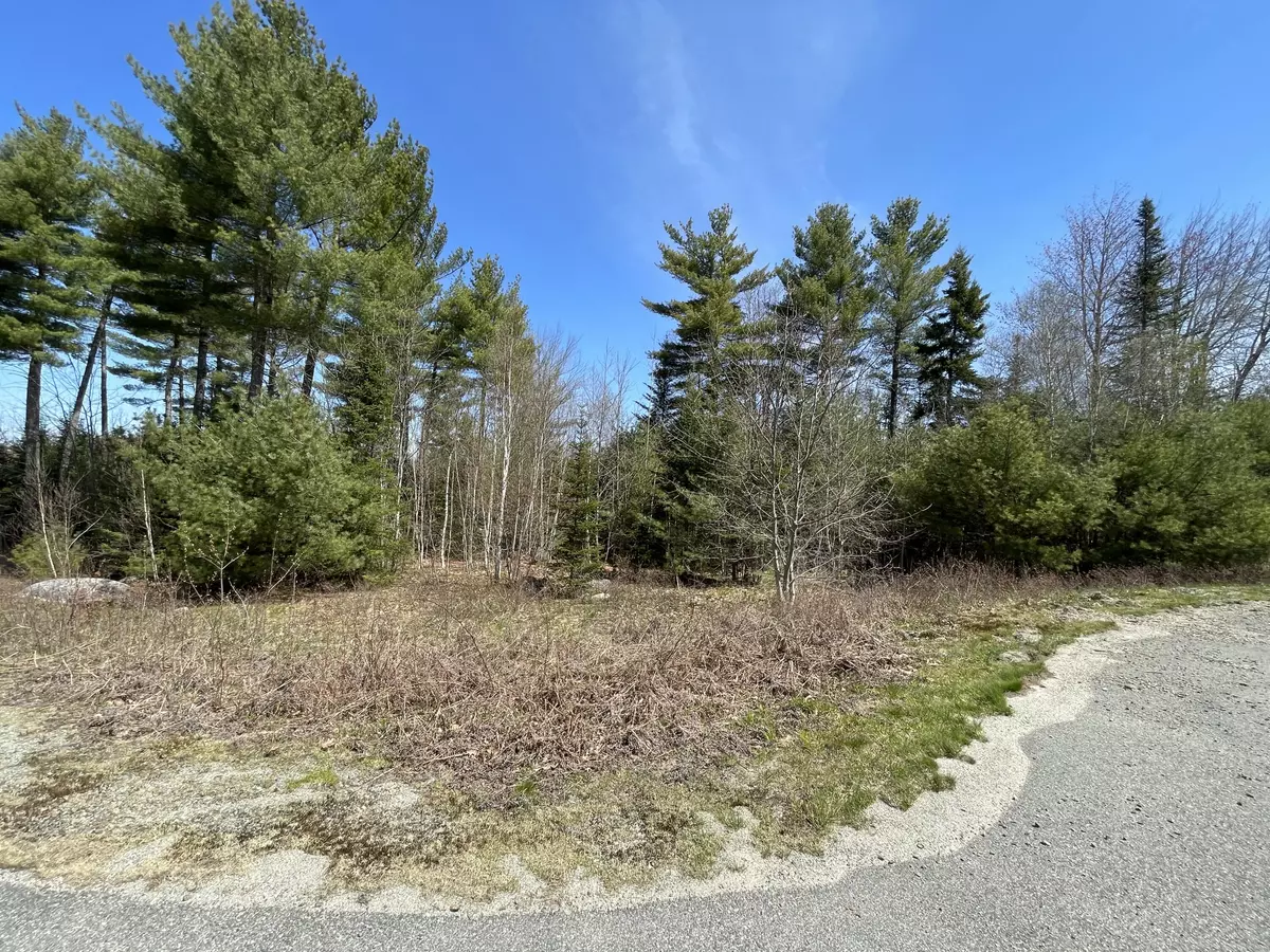 Surry, ME 04684,Lot 7 Hillside LN