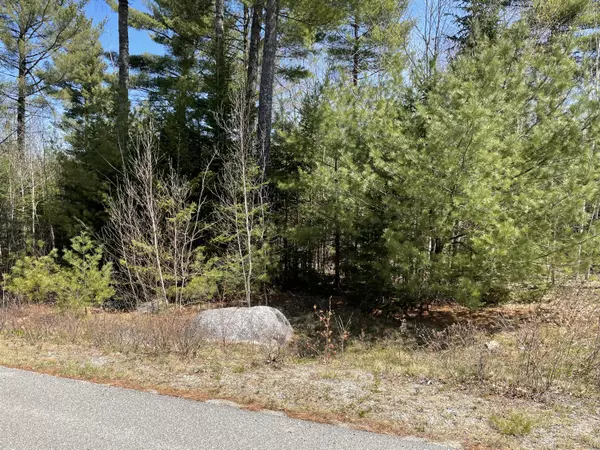Surry, ME 04684,Lot 7 Hillside LN