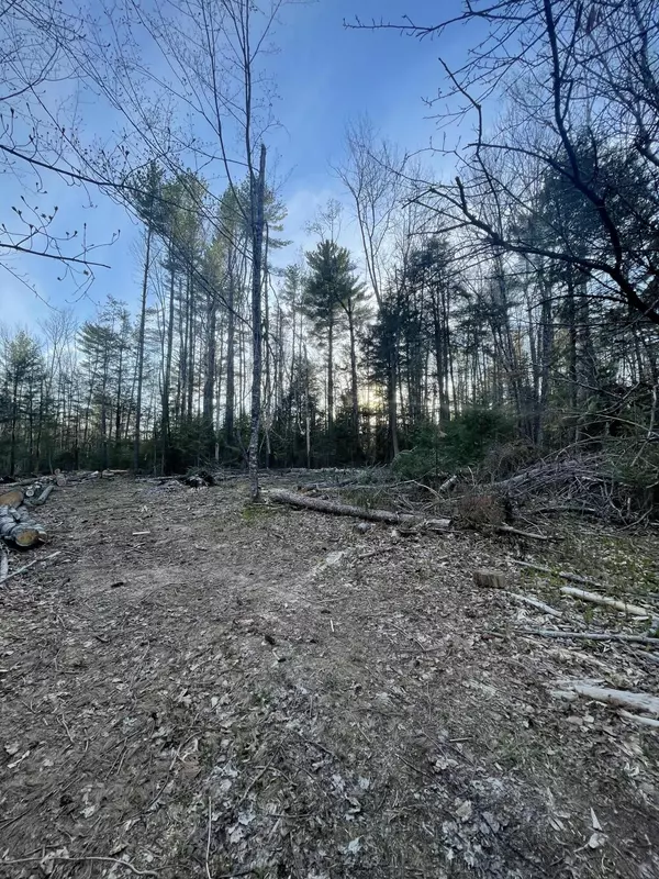 Newburgh, ME 04444,Lot 4/5 Dahlia Farm RD