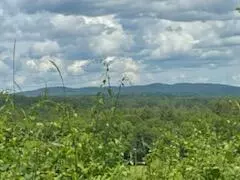 Norway, ME 04268,48 Haynes Heights DR