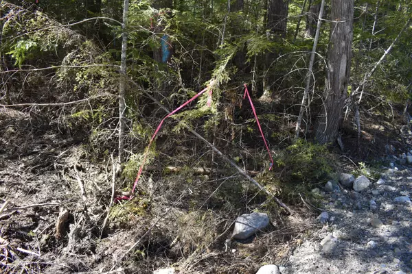 Lakeville, ME 04487,1 Acre Frog RD