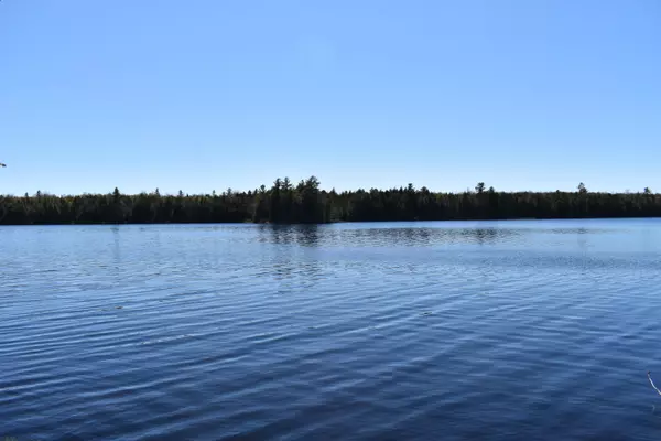1 Acre Frog RD, Lakeville, ME 04487