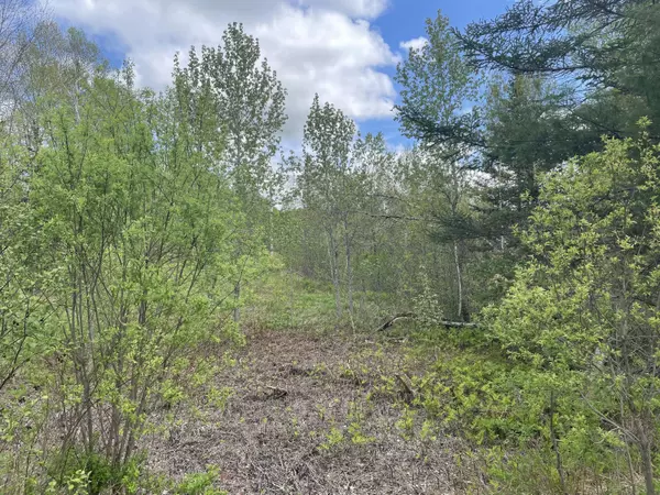 Kingfield, ME 04947,M02 L69-03 West Kingfield RD